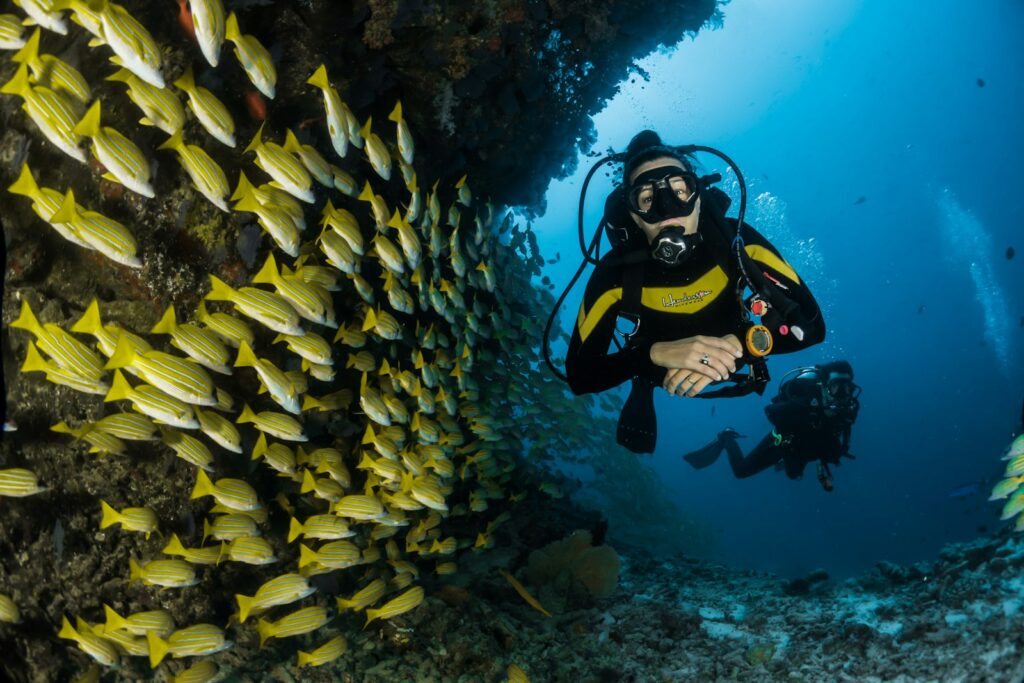 Coral reef and reef fish in clear water off Pigeon Island