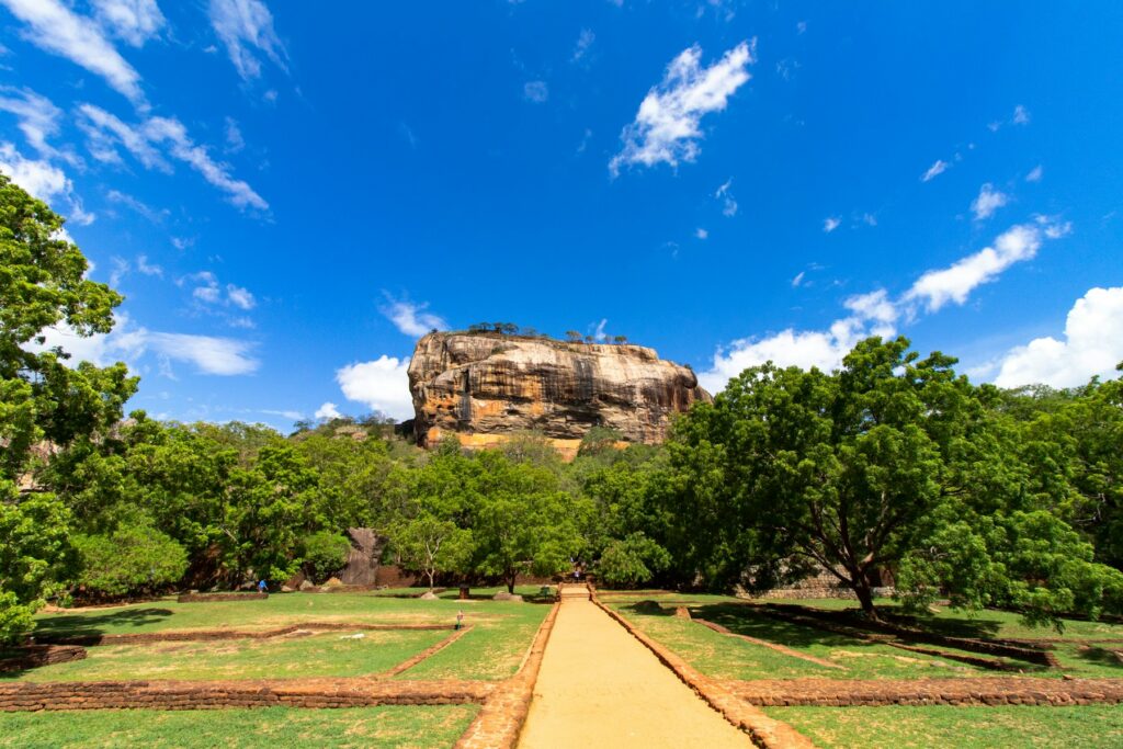 A dirt track running between trees in the Sri Lankan countryside